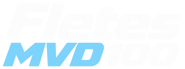Fletes MVD 100